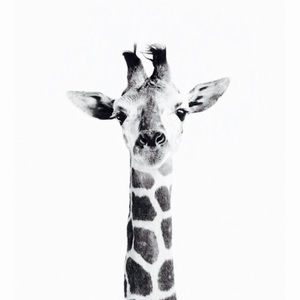 Meet your Posher, Brittney