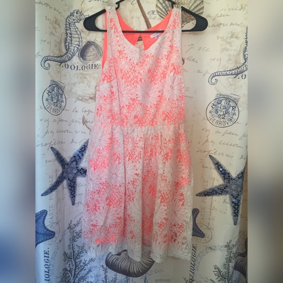 Lace Dress
