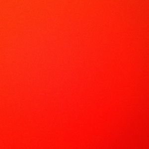 Meet your Posher, Callie