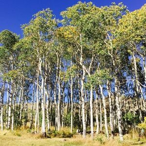 Meet your Posher, Annaliese