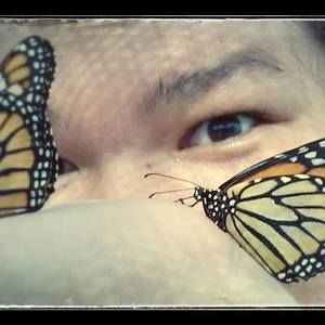 Meet your Posher, Judith