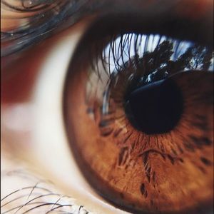 Meet your Posher, Brook