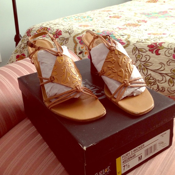 Carlos Santana Wedge