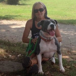 Meet your Posher, Diann
