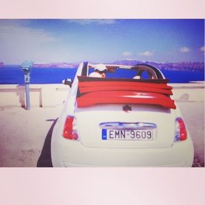 Meet your Posher, Liz