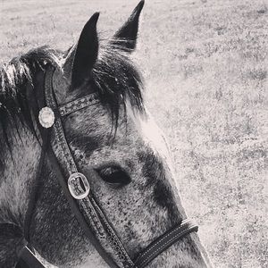 Meet your Posher, Daisy