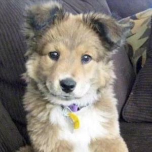 Meet your Posher, Elizabeth