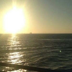 Meet your Posher, Alexious