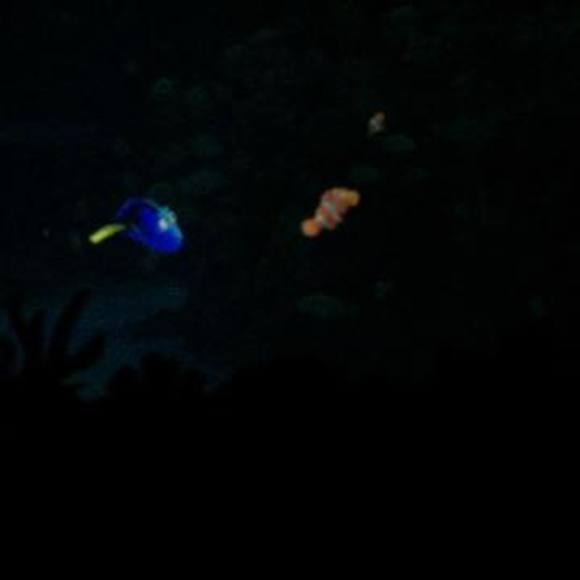 Meet your Posher, Tommi - Picture 1 of 1