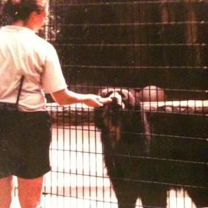 Meet your Posher, Lori