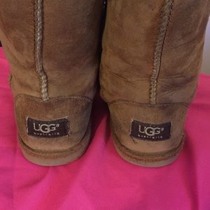 Chestnut Uggs