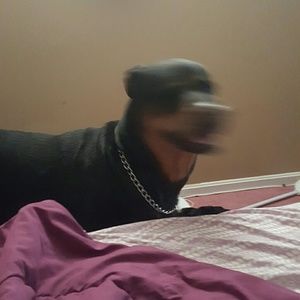 Meet your Posher, Kiarra