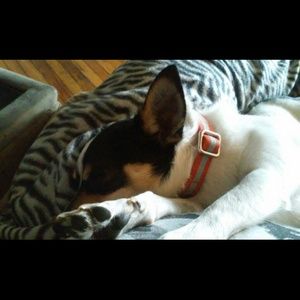 Meet your Posher, Jess