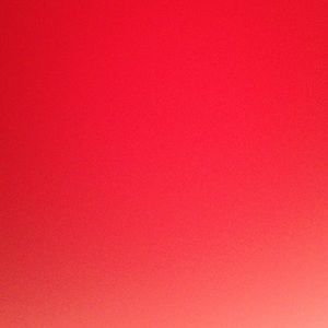 Meet your Posher, Callie