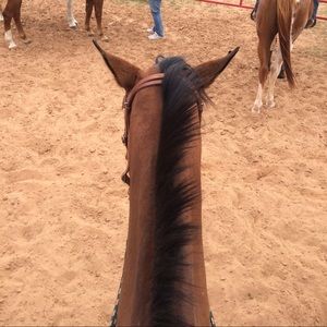 Meet your Posher, Kelli