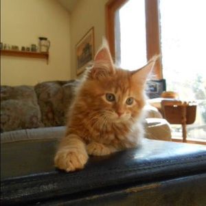 Meet your Posher, Kate