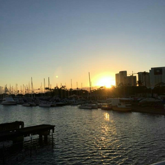 Meet your Posher, phina - Picture 1 of 1