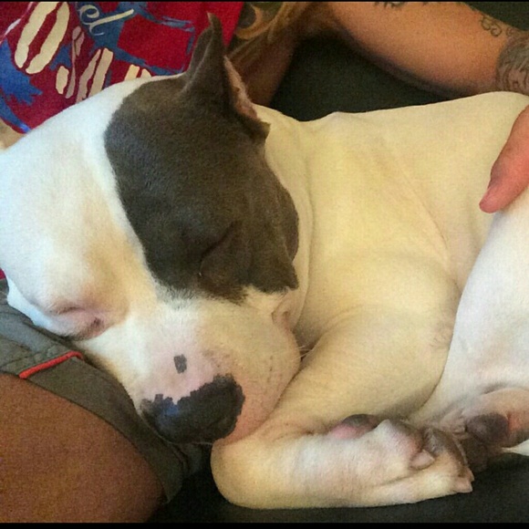 Meet your Posher, Brit