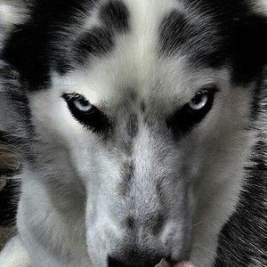 Meet your Posher, Rochelle