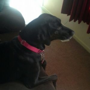 Meet your Posher, Regan