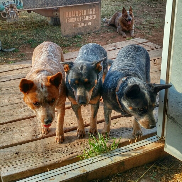 Meet your Posher, Gwen