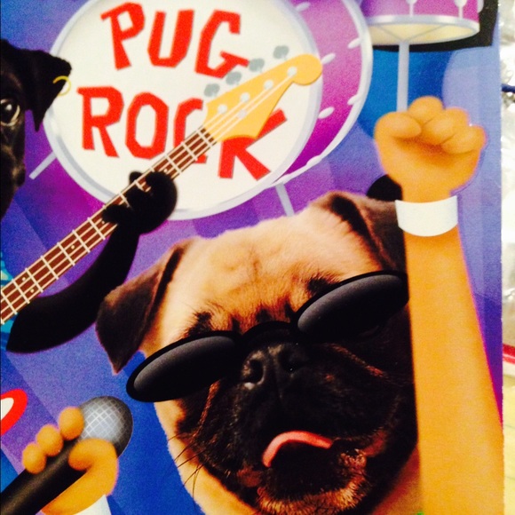 Meet your Posher, Elaine - Picture 3 of 4