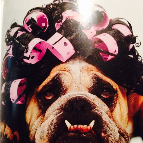 Meet your Posher, Elaine - Picture 4 of 4