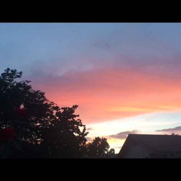 Meet your Posher, Andi - Picture 1 of 1