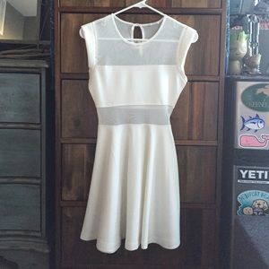 Tobi Dress with Mesh Inserts