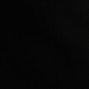 Meet your Posher, Terica