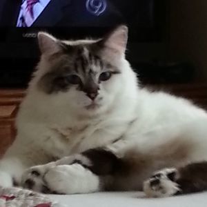 Meet your Posher, Cheri