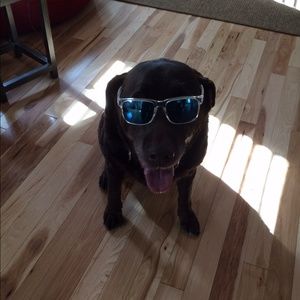 Meet your Posher, Steve