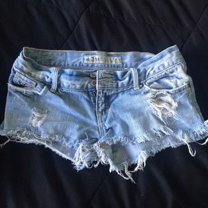 Jean Hollister Shorts