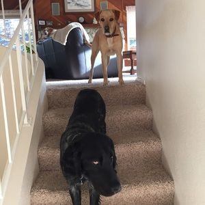 Meet your Posher, Heather