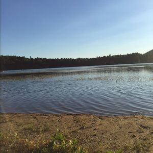 Meet your Posher, Quincy