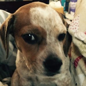 Meet your Posher, Val