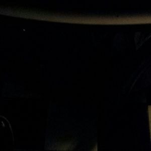 Meet your Posher, Renee