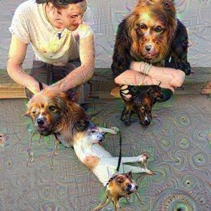 Meet your Posher, Morgan