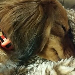 Meet your Posher, Jen