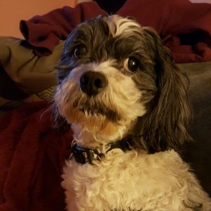 Meet your Posher, Mike