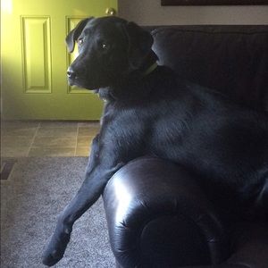 Meet your Posher, Jackie