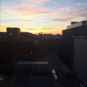 Meet your Posher, Ann