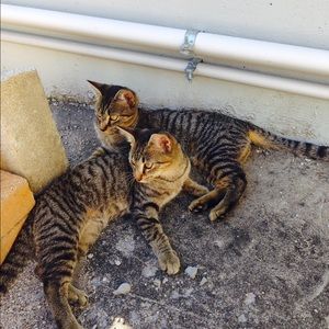 Meet your Posher, Victoria