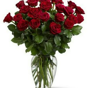 Meet your Posher, Delia