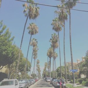 Meet your Posher, Kris