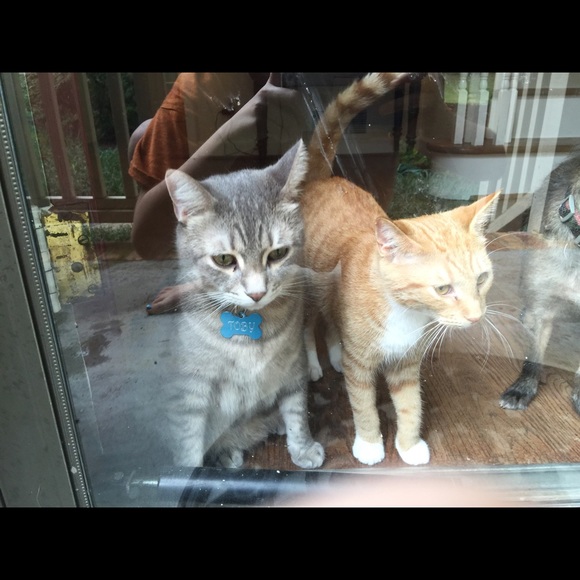 Meet your Posher, Robyn - Picture 1 of 1