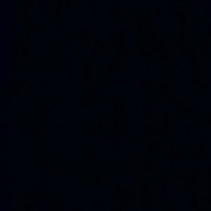 Meet your Posher, Nikkii