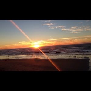 Meet your Posher, Kynzi