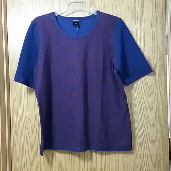 Ann Taylor Blue & Red Sweater