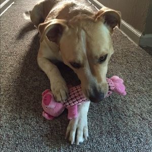 Meet your Posher, Zoe